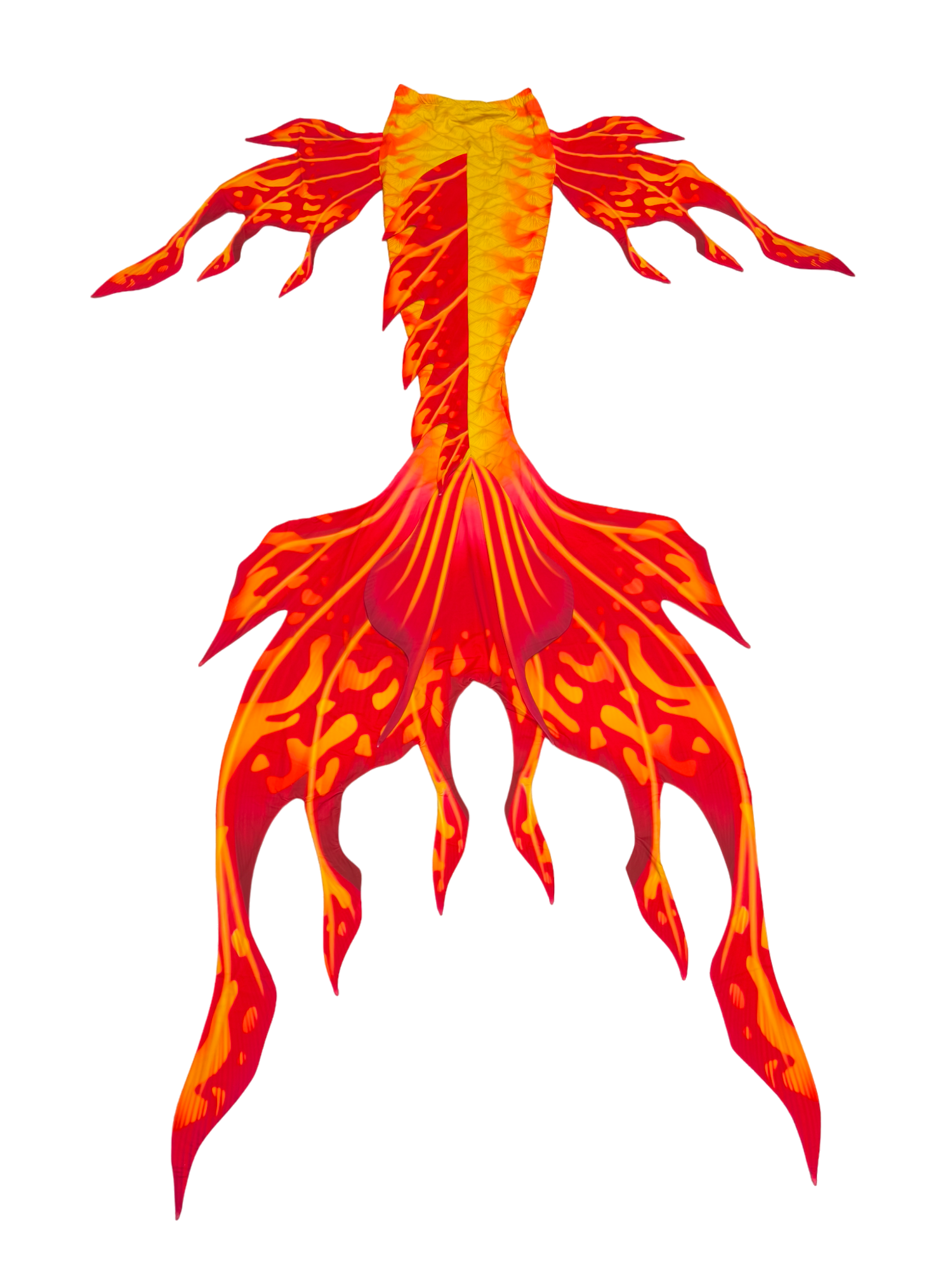 Velo Rot-Gelb Rückansicht