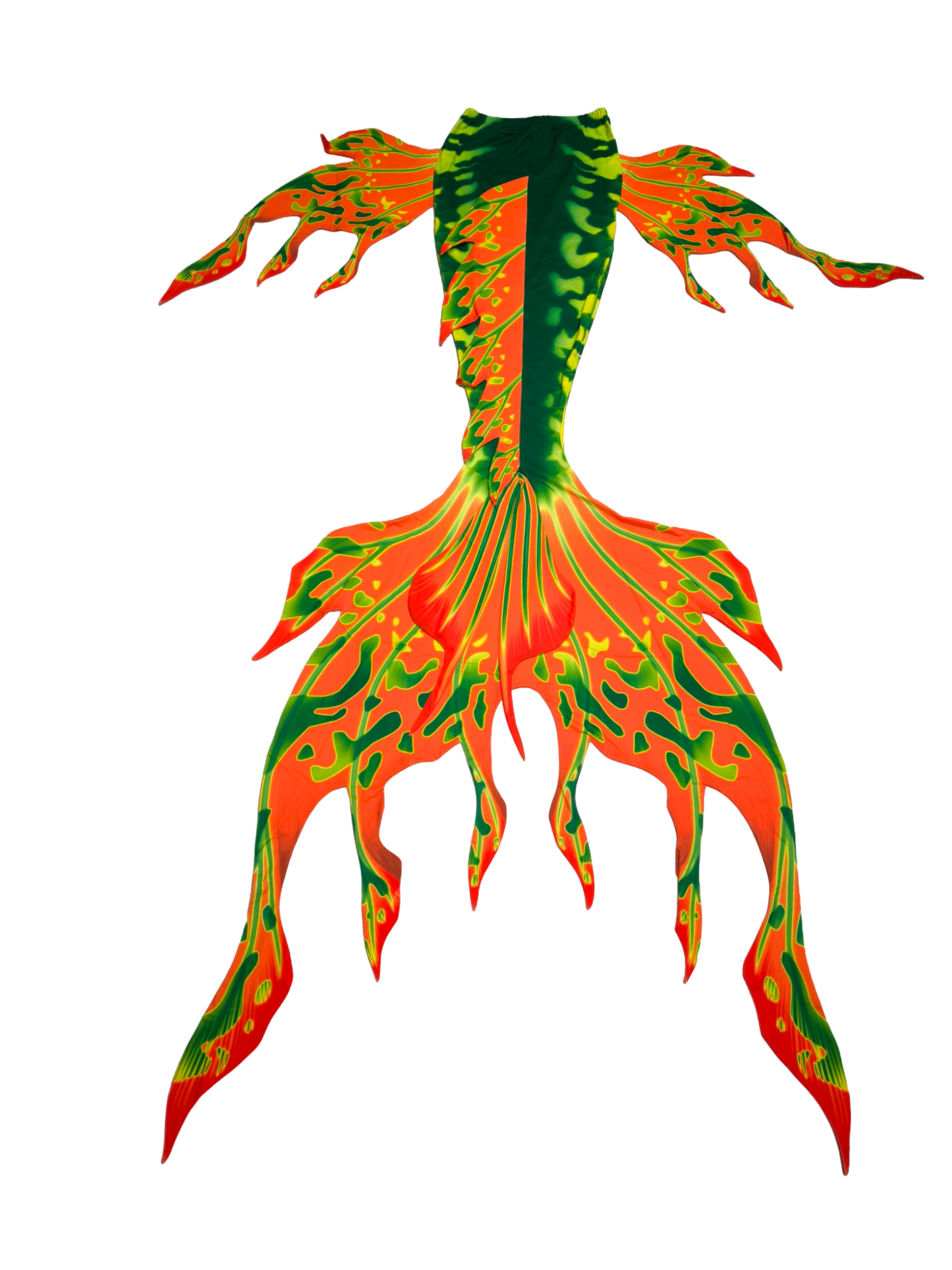 Hintere Ansicht Tail Velo Grün-Orangegelb