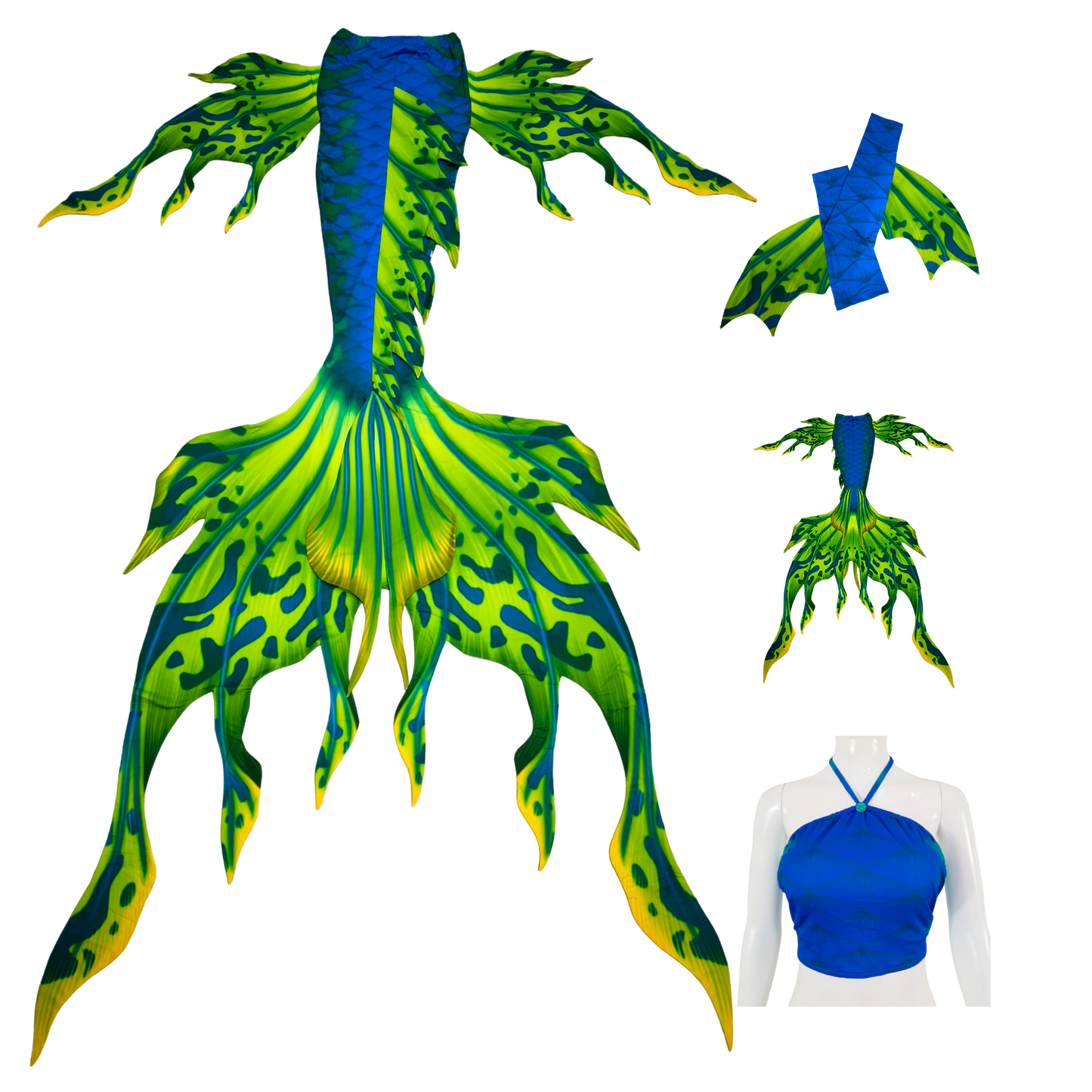 Velo Blau-Grüngelb Komplettpaket