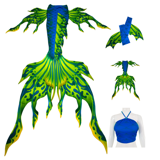 Velo Blau-Grüngelb Komplettpaket