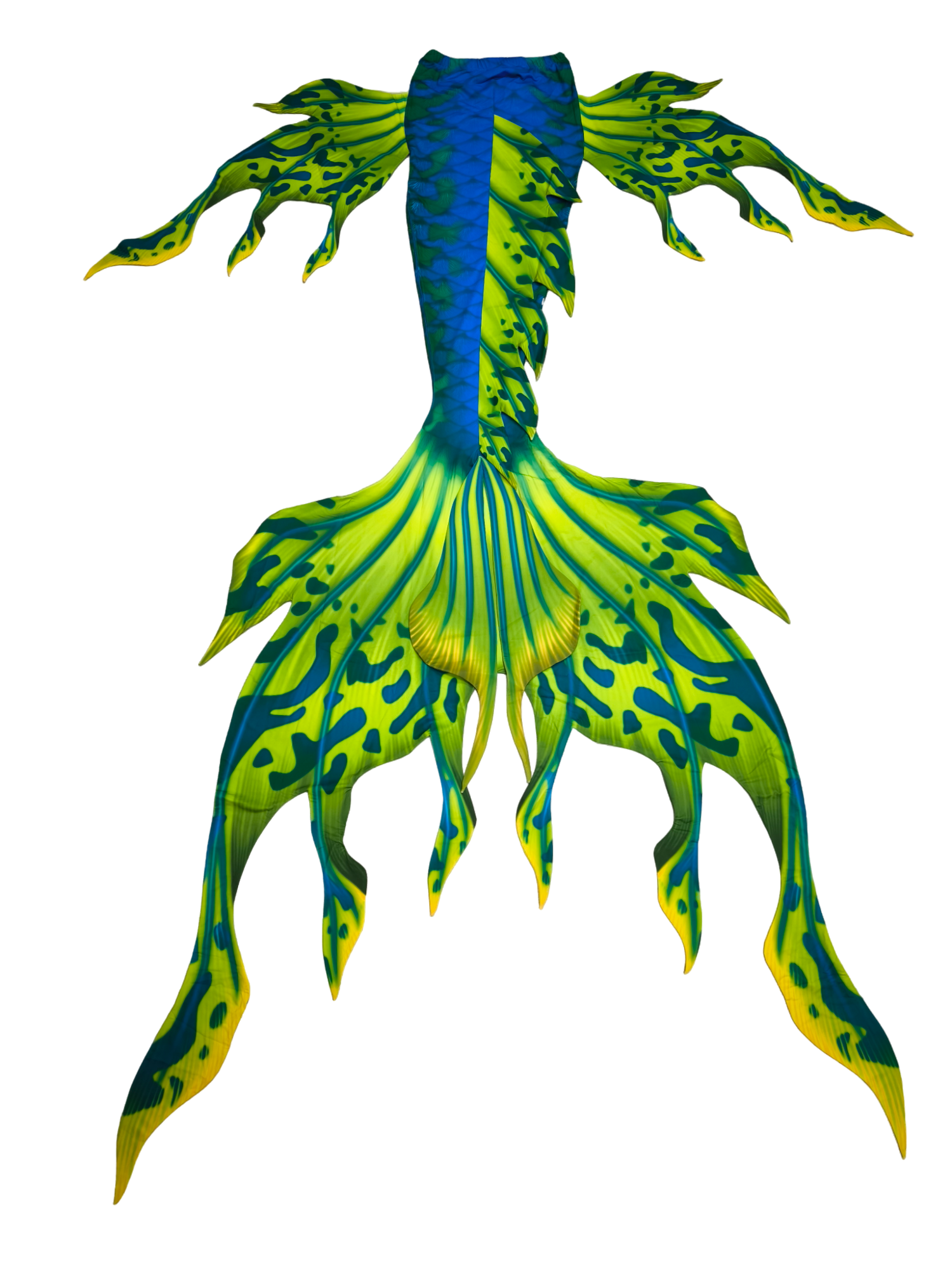 Velo Grün Blau Rückansicht