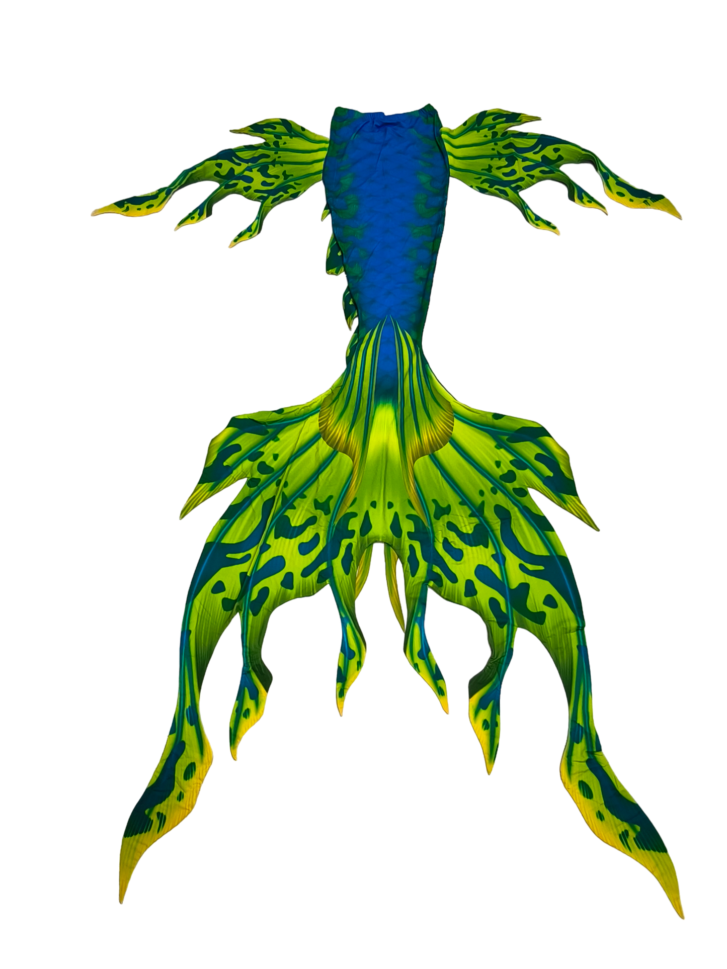 Velo Grün-Blau Vorderansicht