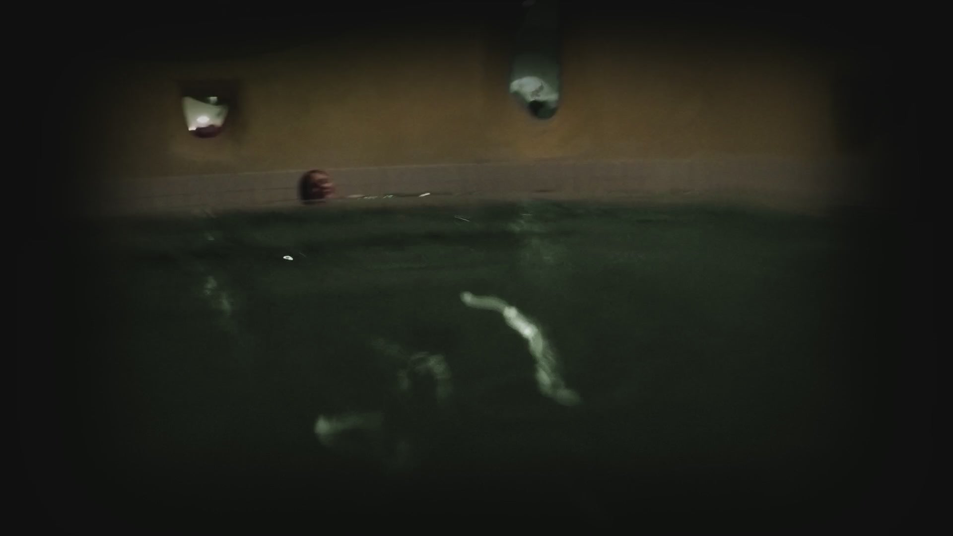 Illumina das kleine Meeresleuchten.    Illumina Verde, das Tail des Meereswaldes, tanzt mit der Leichtigkeit eines Seetangs im Rhythmus der Gezeiten.