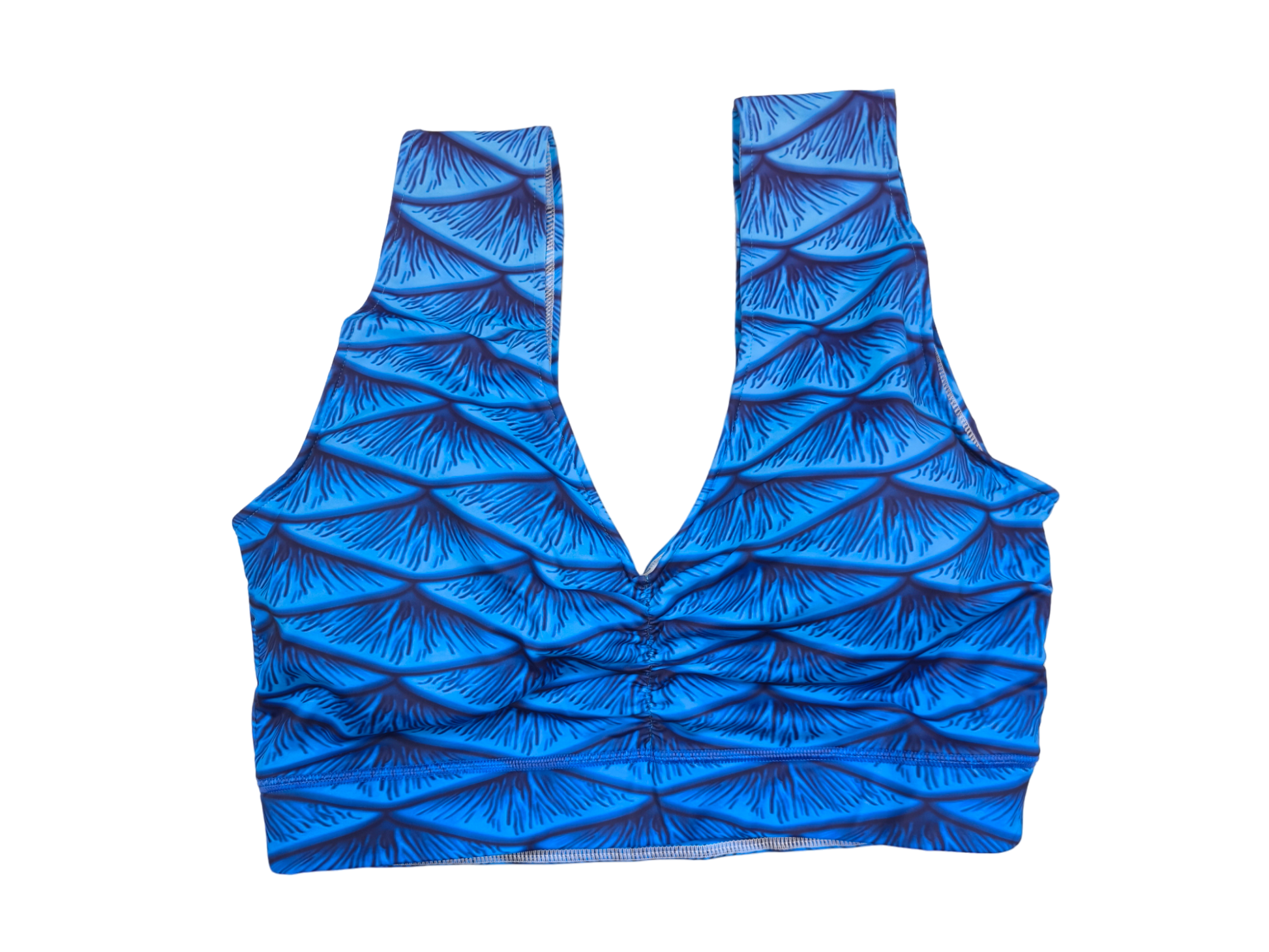 Sport BH passend zum Tail Duke in blau