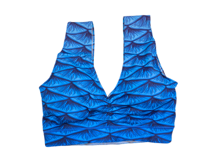 Sport BH passend zum Tail Duke in blau