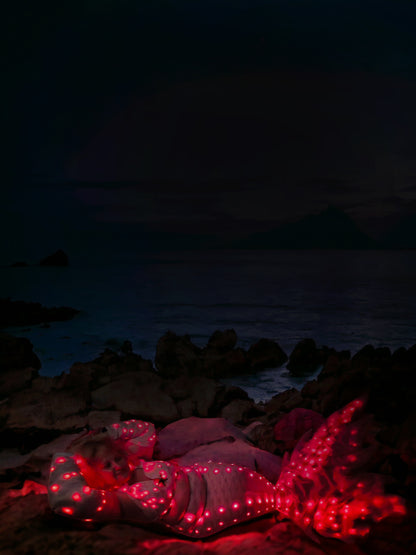 Zeigt das Tail Splendore im dunklen  an einer Person