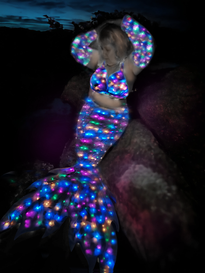 Zeigt das Tail Splendore im dunkel  an einer Person