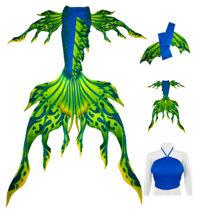 Velo Blau-Grüngelb Komplettpaket