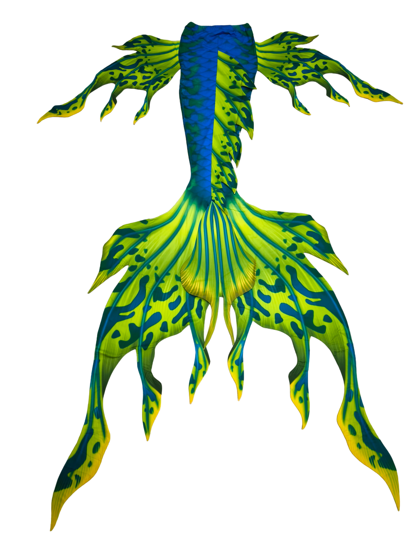 Velo Grün Blau Rückansicht