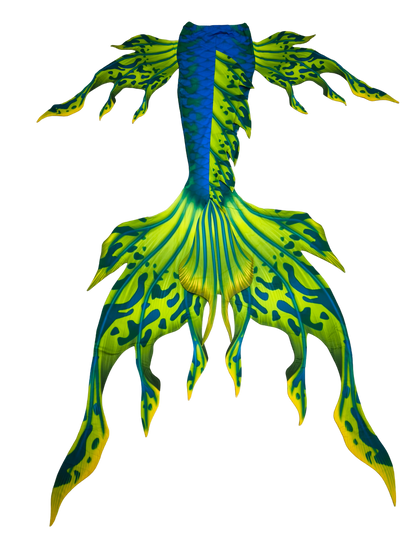 Velo Grün Blau Rückansicht