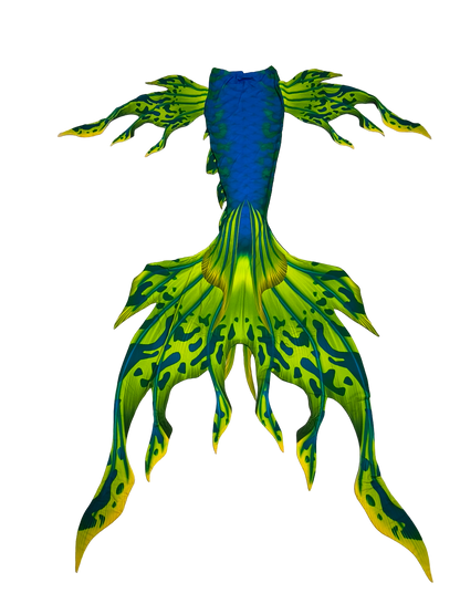 Velo Grün-Blau Vorderansicht