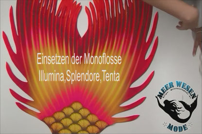 Illumina Rossonero