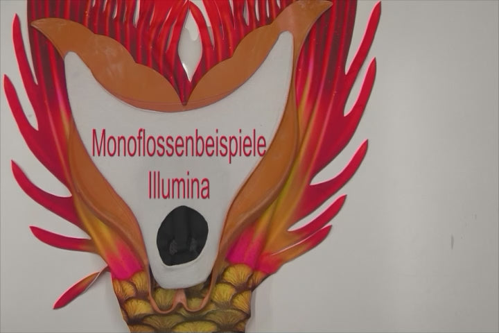 Monoflossenbeispiele 