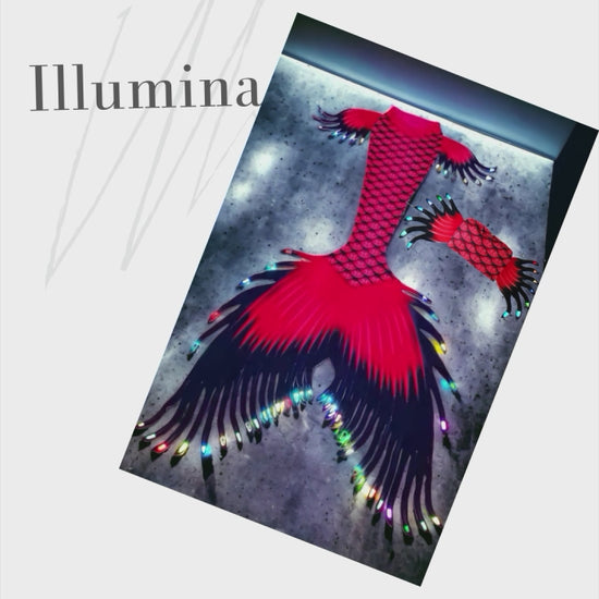 Illumina das kleine Meeresleuchten.&nbsp;   Illumina Rossonero, das Märchen vom Meer, wo die rote untergehende Sonne im tiefen, dunklen Wasser spielt.